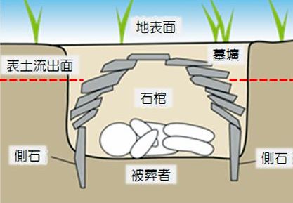 断面図