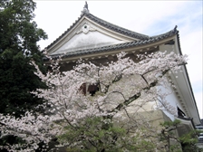 櫓