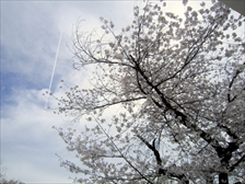 満開