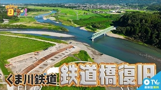 所さんの目がテン！